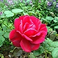 DSC09657.JPG
