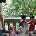 DSC07462.JPG