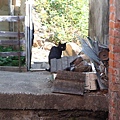 DSC05379.JPG