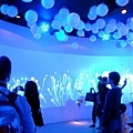 DSC09636.JPG