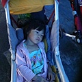 DSC07769.JPG
