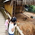 DSC08776.JPG