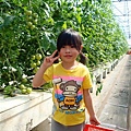 DSC06619.JPG