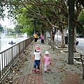 DSC08761.JPG