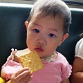DSC08746.JPG