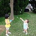 DSC07225.JPG