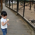 DSC08768.JPG