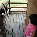 DSC08298.JPG
