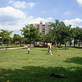 DSC08638.JPG
