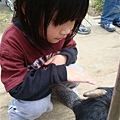DSC06053.JPG