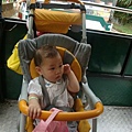 DSC07884.JPG