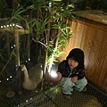 DSC09080.JPG