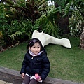 DSC09668.JPG