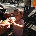 DSC05696.JPG