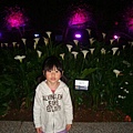 DSC06553.JPG