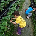 DSC06642.JPG