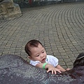 DSC07901.JPG