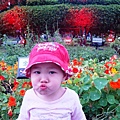 DSC06551.JPG