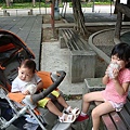 DSC08285.JPG