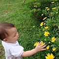DSC07364.JPG