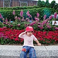 DSC06548.JPG