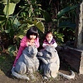 DSC05295.JPG