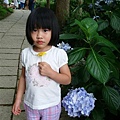 DSC07368.JPG
