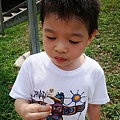 DSC08623.JPG