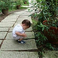 DSC07380.JPG