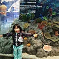 DSC09094.JPG
