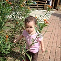 DSC08310.JPG