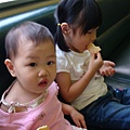 DSC08755.JPG