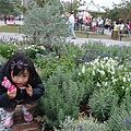 DSC09686.JPG