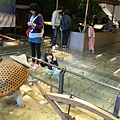 DSC09072.JPG