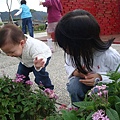 DSC09414.JPG