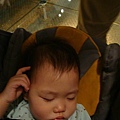 DSC09075.JPG