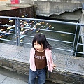 DSC08701.JPG