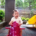 DSC07835.JPG