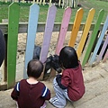 DSC06050.JPG