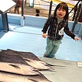DSC09100.JPG