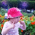 DSC06550.JPG