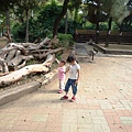 DSC08781.JPG
