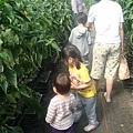 DSC06614.JPG