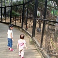 DSC08767.JPG