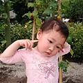DSC06533.JPG