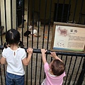 DSC08782.JPG