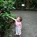 DSC07927.JPG