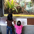 DSC06201.JPG