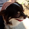 DSC05693.JPG