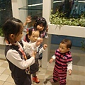 DSC09277.JPG